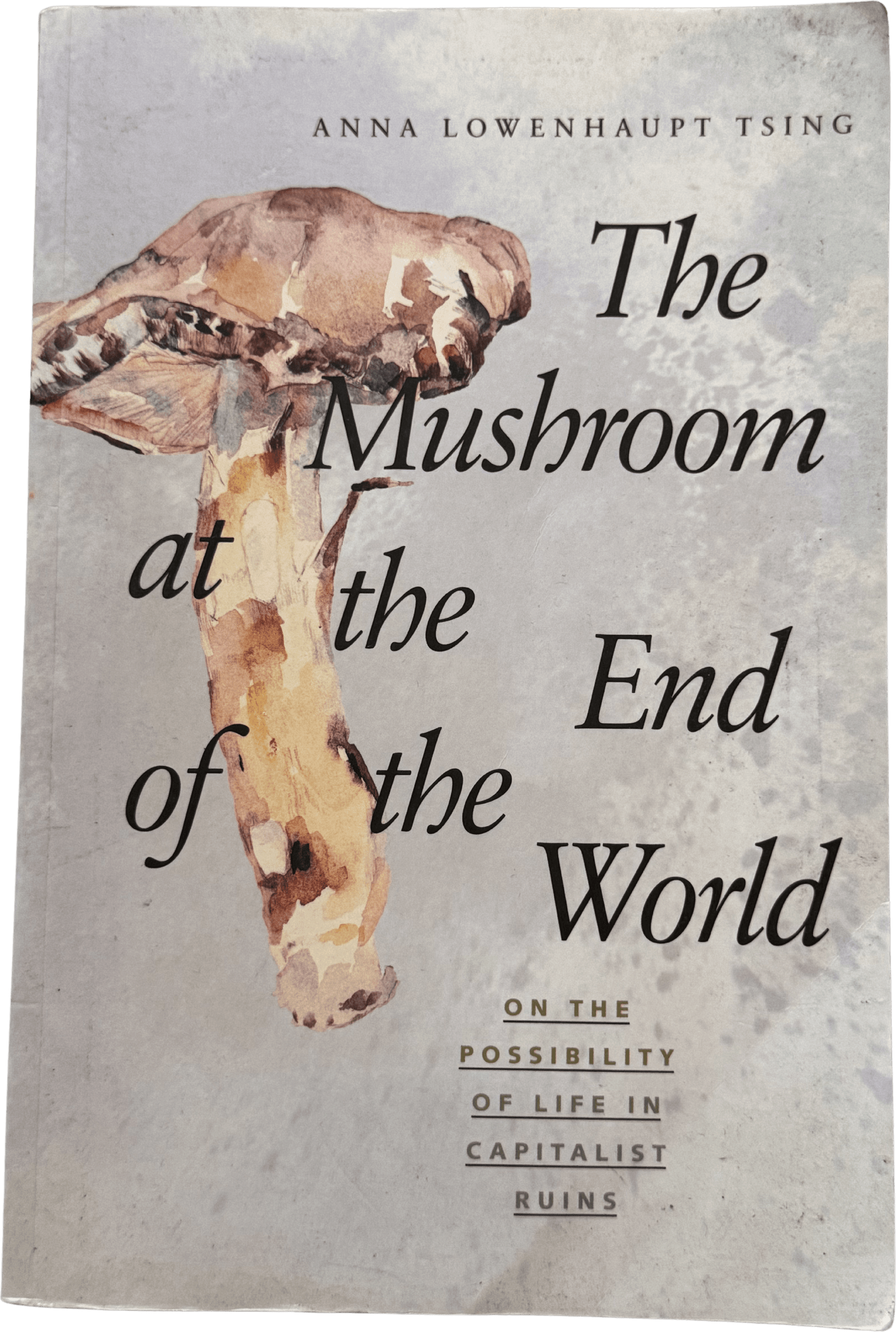 The Mushroom at the End of the World